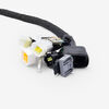 Full-E Charged Wiring Loom for Ultra Bee