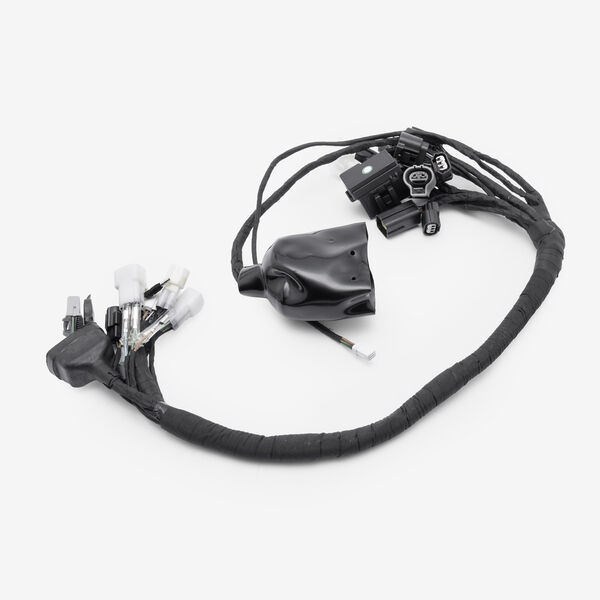 Full-E Charged Wiring Loom for Ultra Bee